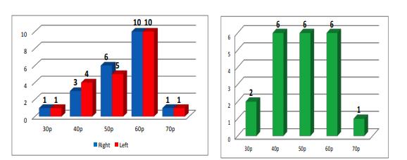 The frequency of obtaining each score, for the dynamicbalance tests